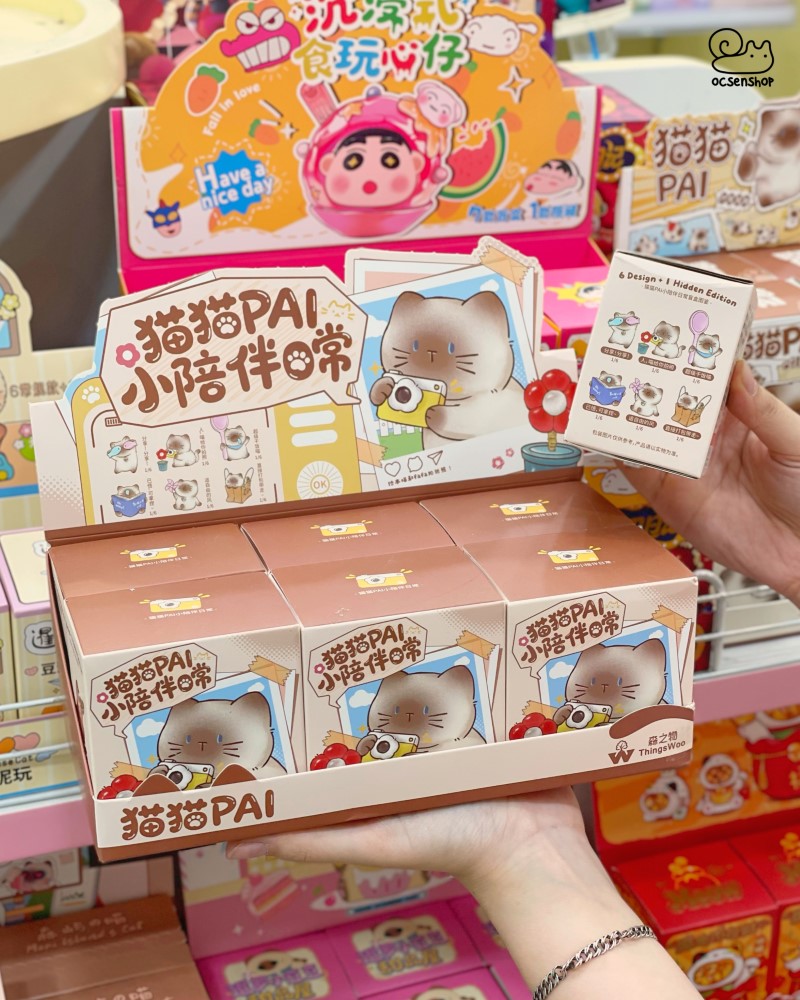 Blind box Mèo Pai (6)