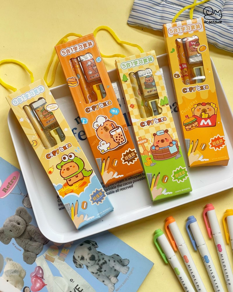 Set dụng cụ học tập Capybara
