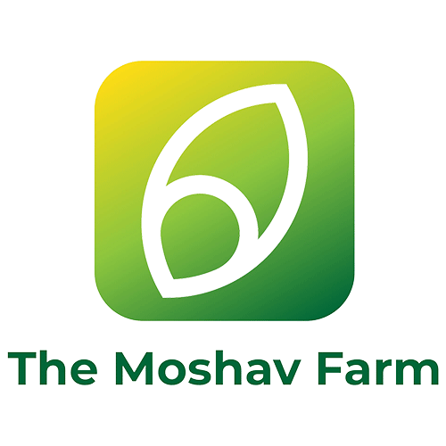 Moshav Farm - Viet Nam