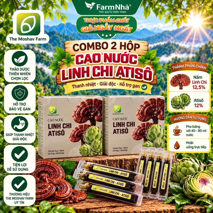 (Combo 2) Cao Nước Linh Chi Atiso The Moshav Farm – Linh Chi Xích Chi & Atiso 10 Ống × 10ml 
