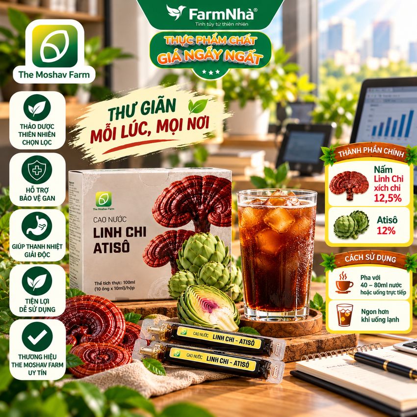 (Combo 2) Cao Nước Linh Chi Atiso The Moshav Farm – Linh Chi Xích Chi & Atiso 10 Ống × 10ml