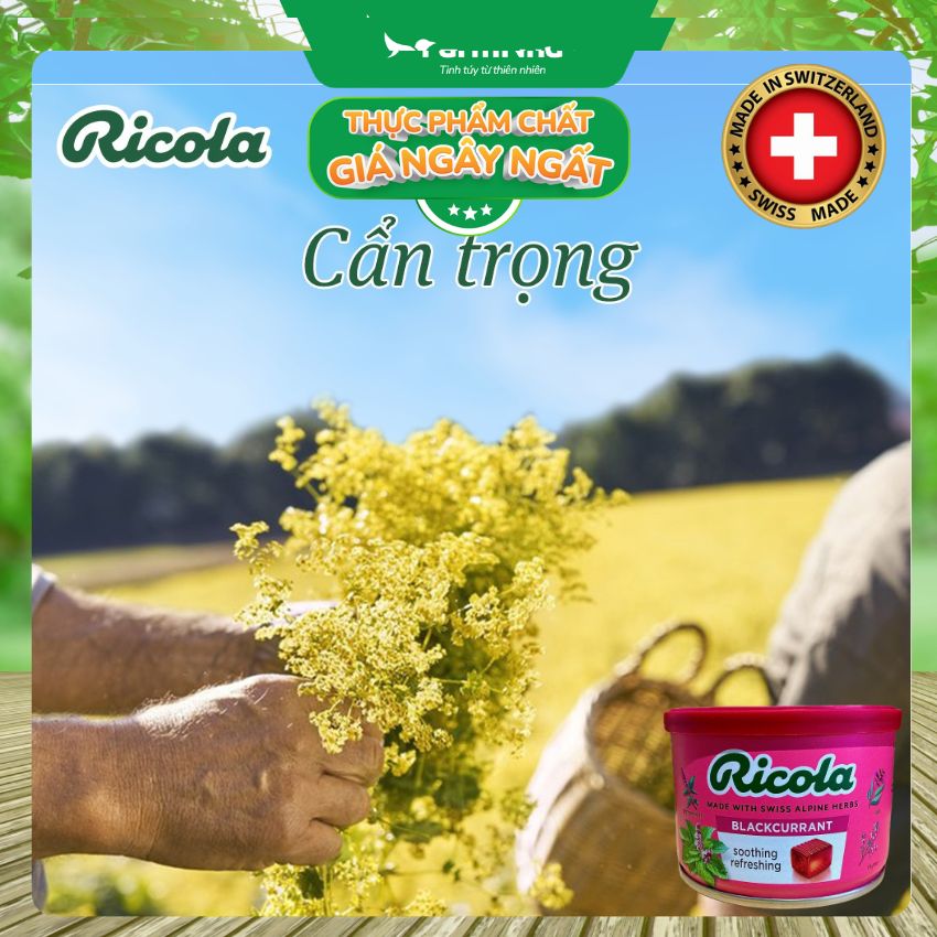 (Combo 2) Kẹo Ngậm Ho Ricola Blackcurrant 100g Hộp Thiếc - Vị Lý Chua, Thảo Mộc Giảm Ho Thụy Sĩ