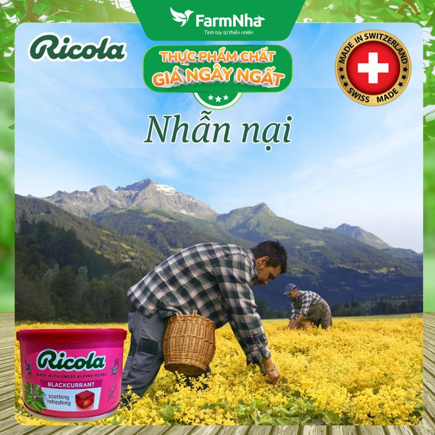 (Combo 2) Kẹo Ngậm Ho Ricola Blackcurrant 100g Hộp Thiếc - Vị Lý Chua, Thảo Mộc Giảm Ho Thụy Sĩ