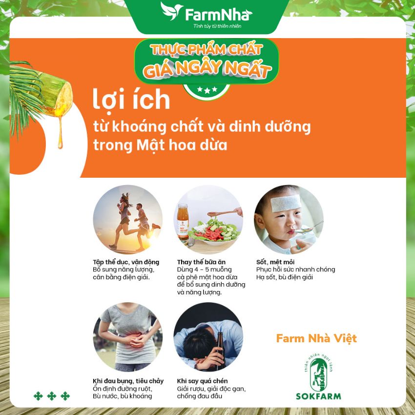 (Combo 2) Mật Hoa Dừa Cô Đặc Hữu Cơ Sokfarm 250g Cho Bé | Mật Ngọt Tự Nhiên GI Thấp Hữu Cơ