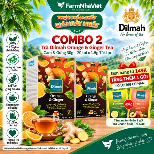 (Combo 2) Trà Dilmah Orange & Ginger Vị Cam Gừng túi lọc 30g 20 túi x 1.5g - Tinh hoa trà Sri Lanka