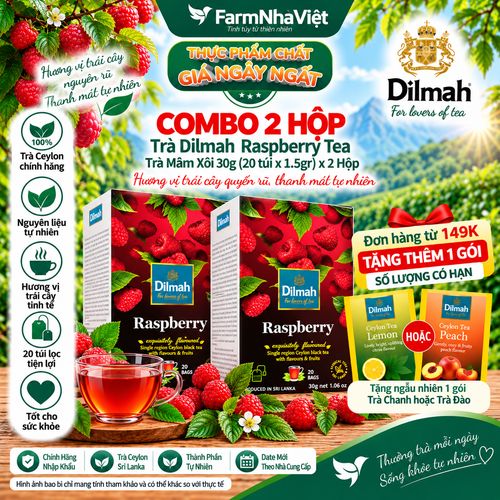 (Combo 2) Trà Dilmah Raspberry vị Mâm Xôi túi lọc 30g 20 túi x 1.5g - Tinh hoa trà Sri Lanka