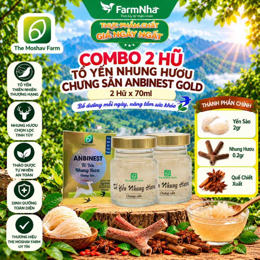 (Combo 2) Tổ Yến Nhung Hươu Chưng Sẵn ANBINEST Gold 70ml – Bổ Dưỡng Cao Cấp, Khỏe Từ Bên Trong
