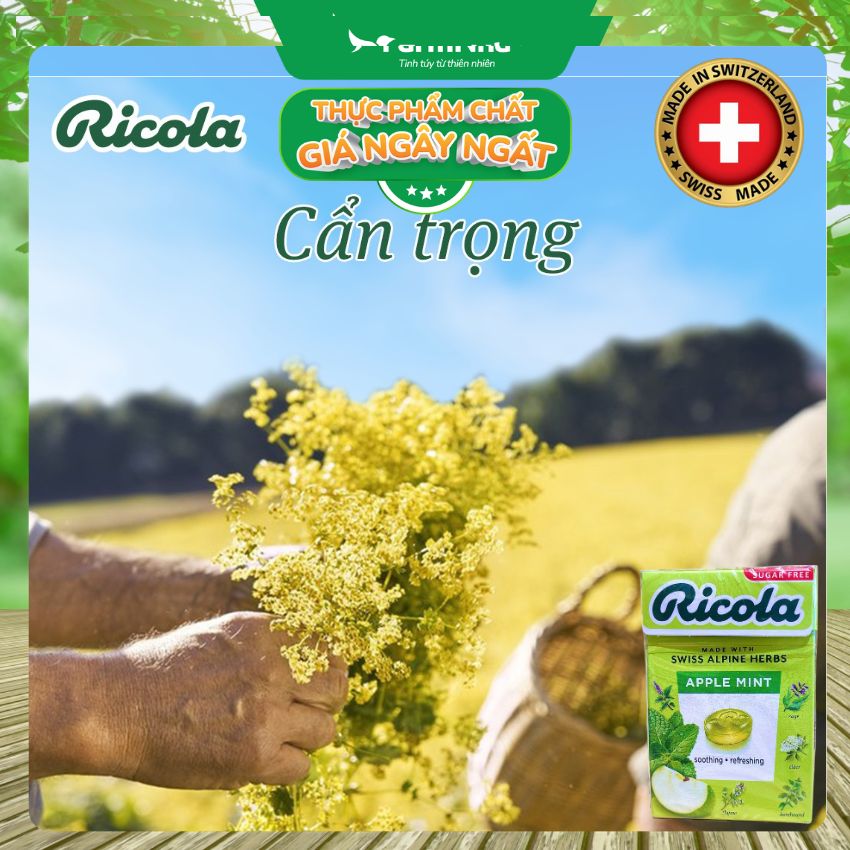 (Combo 3) Kẹo Ngậm Ho Ricola Apple Mint 40g Sugar Free - Vị Táo Bạc Hà Thảo Mộc Từ Thủy Sĩ