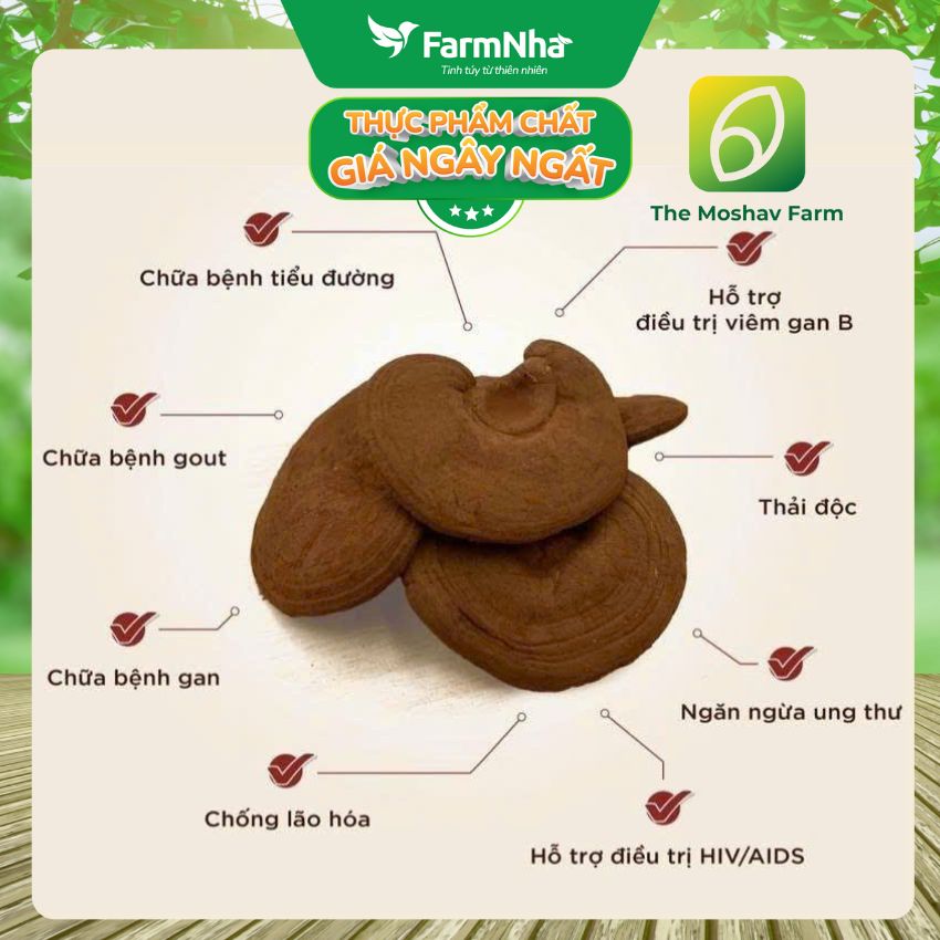 (Combo 3) Nấm Linh Chi Xích Chi Phượng Hoàng Moshav Farm 100gr Nguyên Tai Sấy Khô - Hỗ Trợ Sức Khỏe Toàn Diện