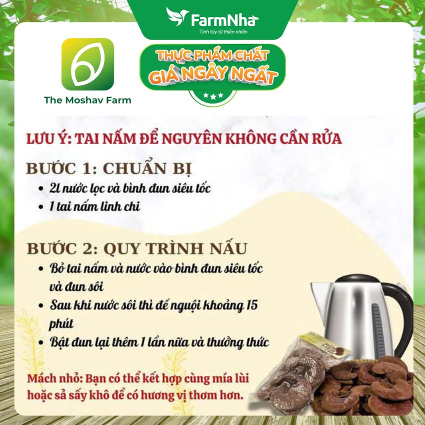 (Combo 3) Nấm Linh Chi Xích Chi Phượng Hoàng Moshav Farm 100gr Nguyên Tai Sấy Khô - Hỗ Trợ Sức Khỏe Toàn Diện