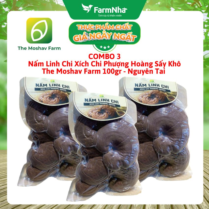 (Combo 3) Nấm Linh Chi Xích Chi Phượng Hoàng Moshav Farm 100gr Nguyên Tai Sấy Khô - Hỗ Trợ Sức Khỏe Toàn Diện 