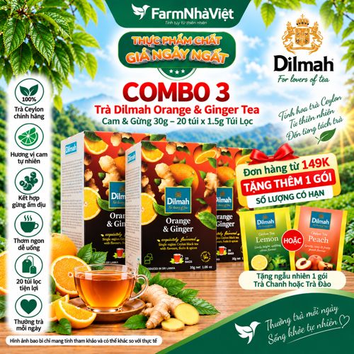 (Combo 3) Trà Dilmah Orange & Ginger Vị Cam Gừng túi lọc 30g 20 túi x 1.5g - Tinh hoa trà Sri Lanka