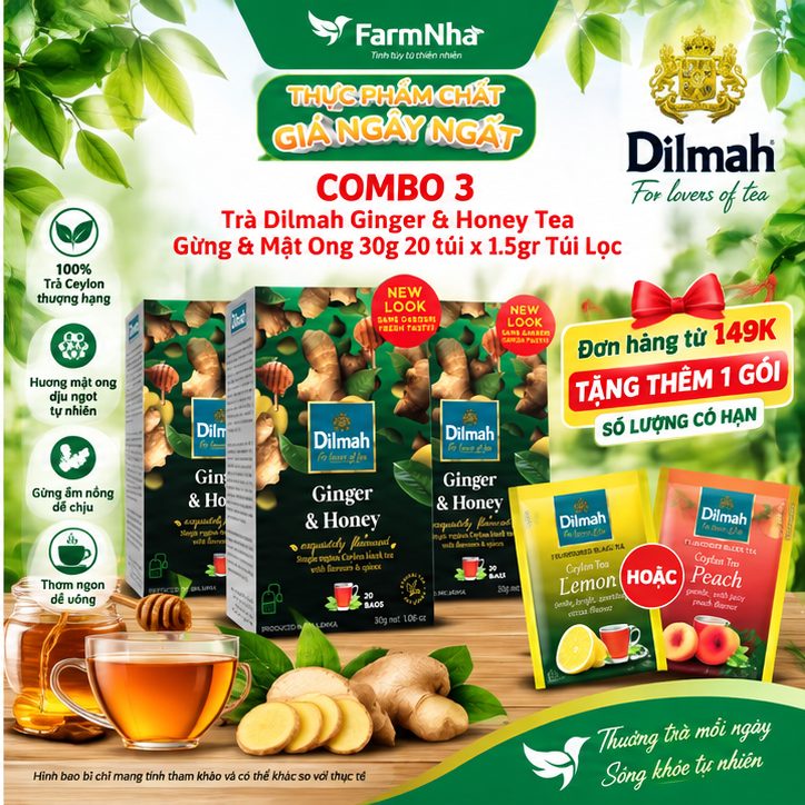 (Combo 3) Trà Dilmah Ginger & Honey vị Gừng và mật ong túi lọc 30g 20 túi x 1.5g - Tinh hoa trà Sri Lanka