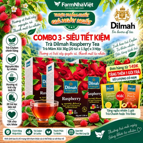 (Combo 3) Trà Dilmah Raspberry vị Mâm Xôi túi lọc 30g 20 túi x 1.5g - Tinh hoa trà Sri Lanka