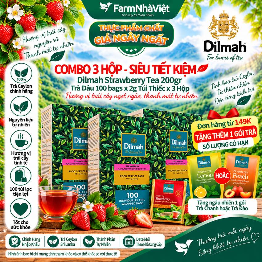 (Combo 3) Trà Dilmah Strawberry hương Dâu 200g 100 túi x 2g Túi Bạc Riêng Biệt - Hương Vị Dâu Tươi Ngọt Ngào