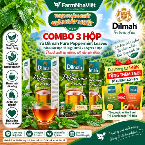 (Combo 3) Trà Dilmah Pure Peppermint 30g 20 Túix1.5g Túi Bạc Riêng Biệt – Trà Thảo Dược Bạc Hà Thư Giãn Tinh Thần