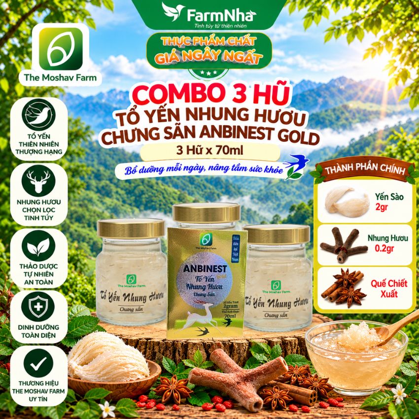 (Combo 3) Tổ Yến Nhung Hươu Chưng Sẵn ANBINEST Gold 70ml – Bổ Dưỡng Cao Cấp, Khỏe Từ Bên Trong