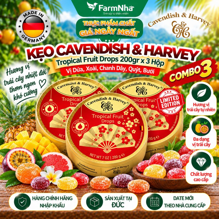 (Combo 6) Kẹo Cavendish & Harvey Tropical Fruit 200g Quạt Hộp Thiếc - Kẹo Đức Phiên Bản Đặc Biệt