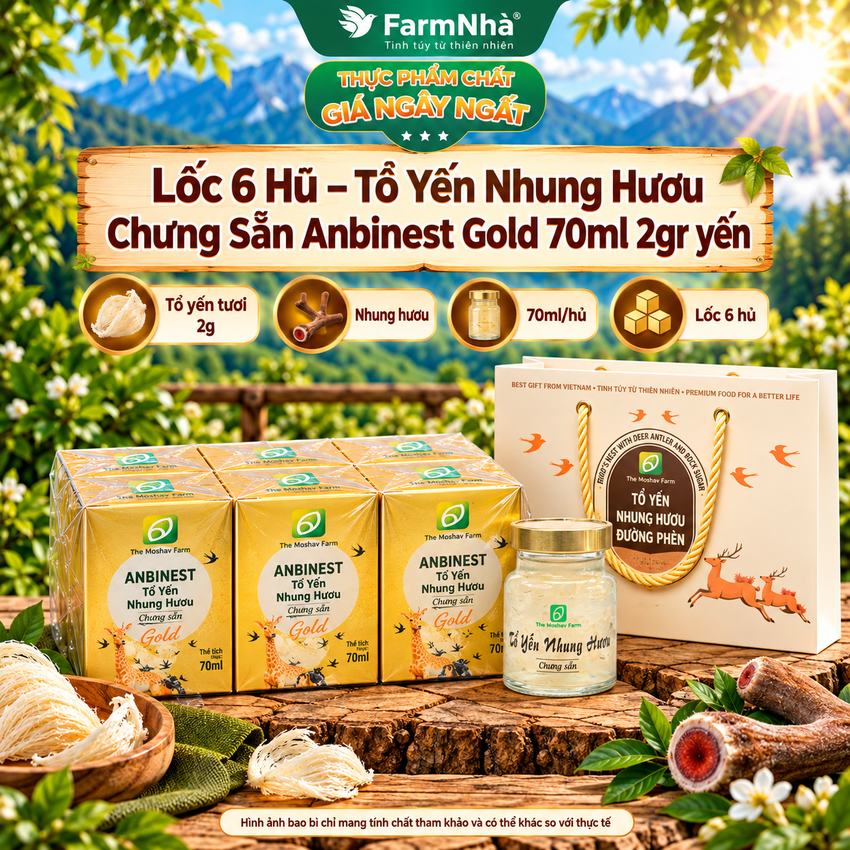 (Combo 6) Tổ Yến Nhung Hươu Chưng Sẵn ANBINEST Gold 70ml – Bổ Dưỡng Cao Cấp, Khỏe Từ Bên Trong 