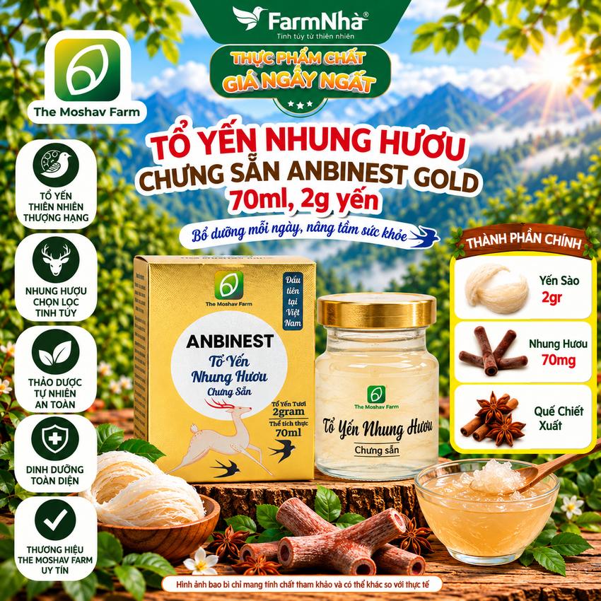 (Combo 6) Tổ Yến Nhung Hươu Chưng Sẵn ANBINEST Gold 70ml – Bổ Dưỡng Cao Cấp, Khỏe Từ Bên Trong