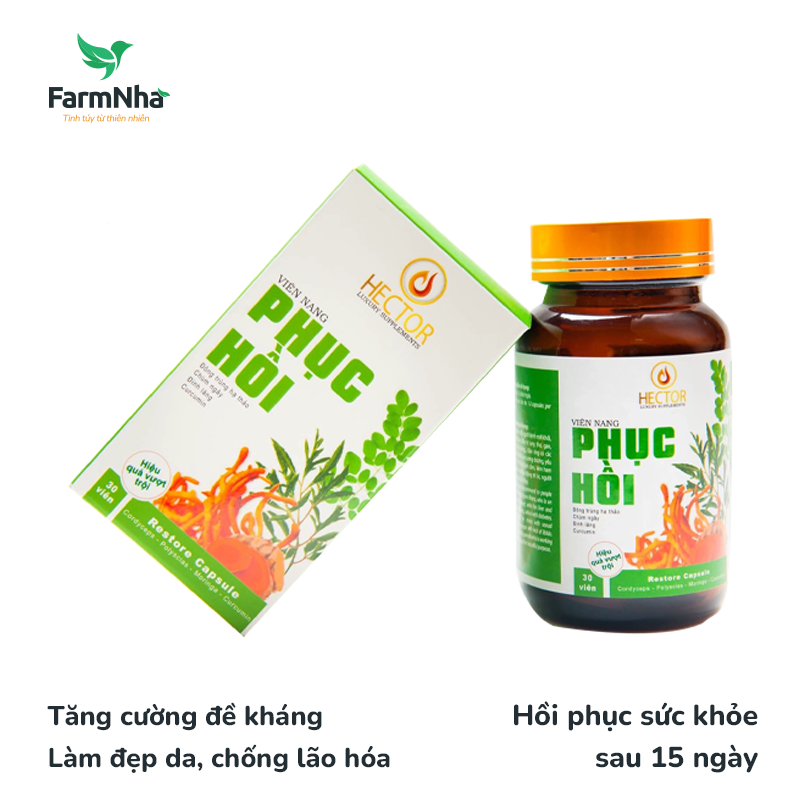 Viên nang phục hồi Hector - Hỗ trợ người bệnh phục hồi