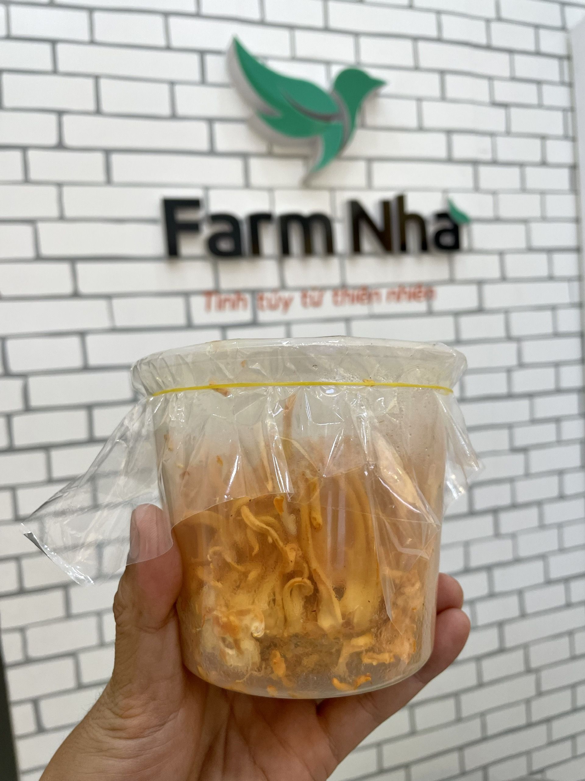 Nấm Đông Trùng Hạ Thảo Tươi 150gr