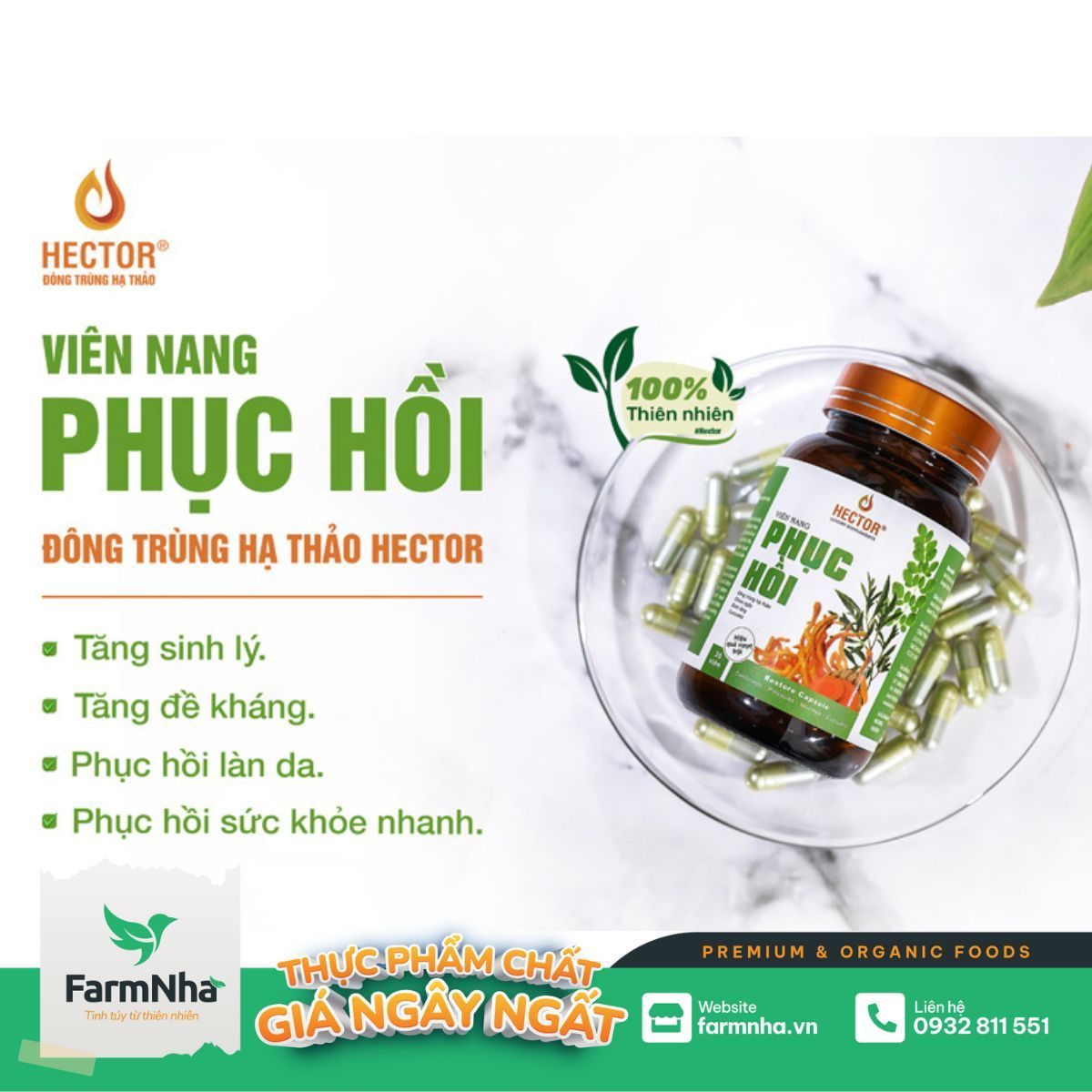 Viên nang phục hồi Hector - Hỗ trợ người bệnh phục hồi