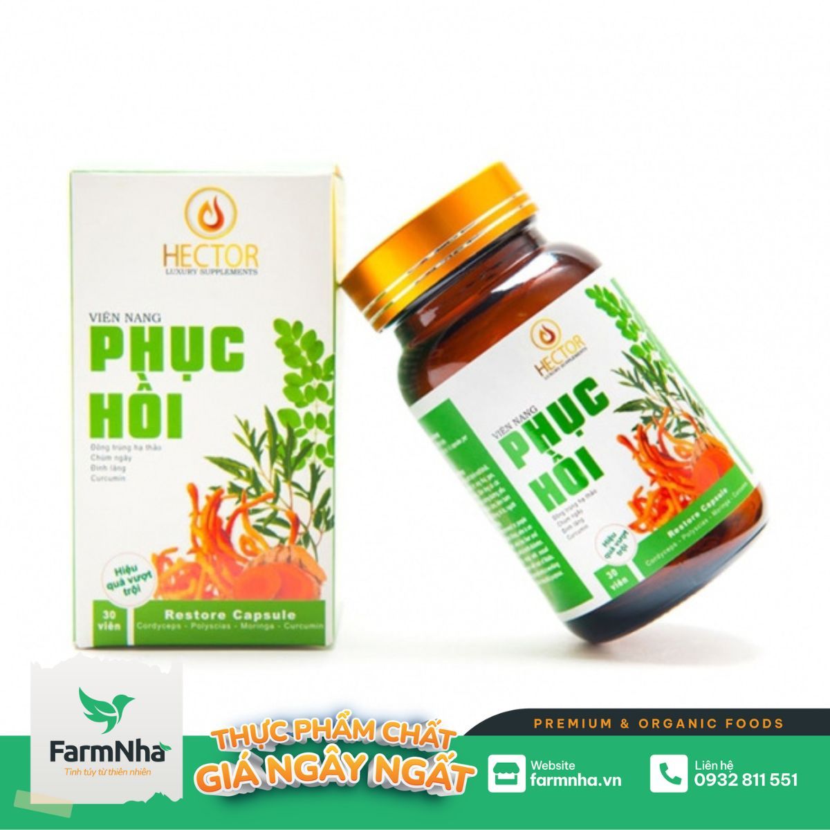 Viên nang phục hồi Hector - Hỗ trợ người bệnh phục hồi