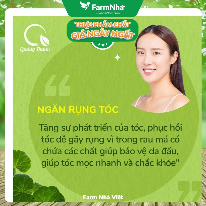 Rau má uống liền ORAMA Quảng Thanh với đường phèn Hộp 10 gói x 15gr