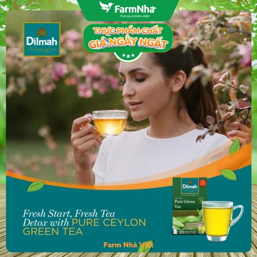 (Combo 3 Hộp) Trà Dilmah Pure Green Tea All Natural 30g 20 túi x 1,5gr Trà xanh tinh khiết - Tinh hoa trà Sri Lanka