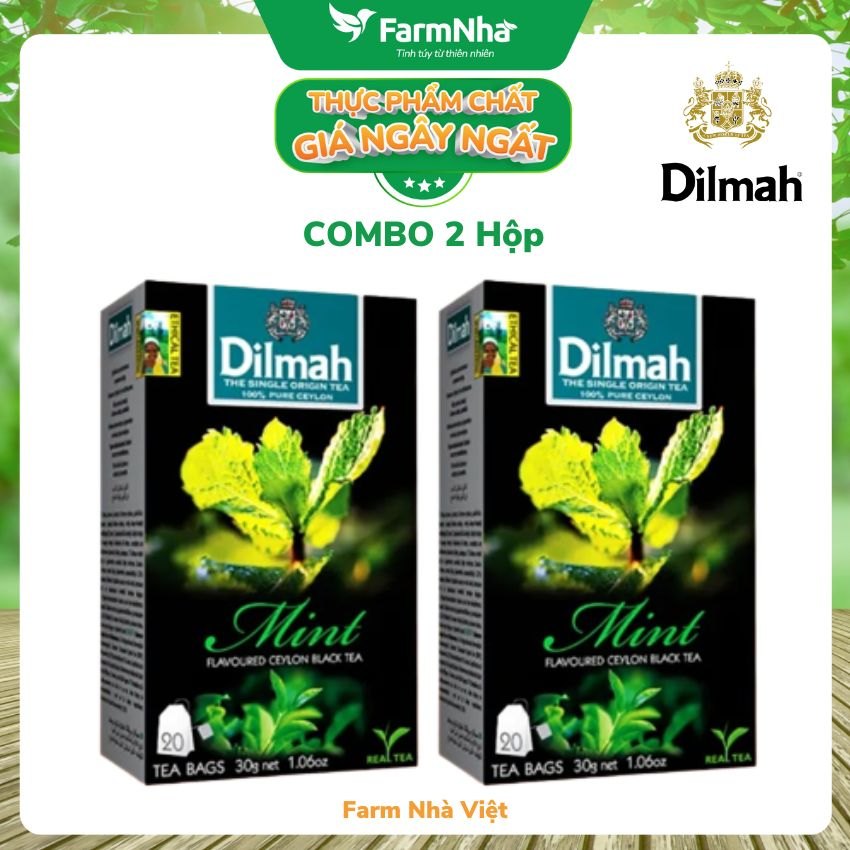 (Combo 2 Hộp) Trà Dilmah Mint vị Bạc Hà túi lọc 30g 20 túi x 1.5g - Tinh hoa trà Sri Lanka