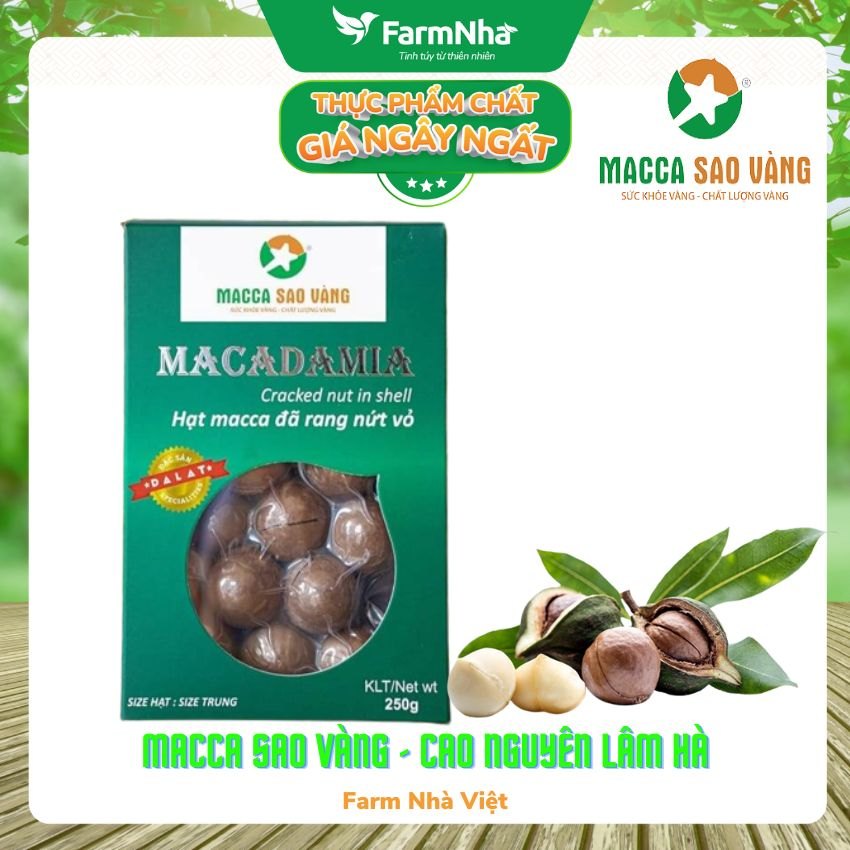 Macca Nứt Vỏ Sao Vàng hộp Xanh size trung 22-24mm 250gr – Giúp cuộc sống khỏe mạnh