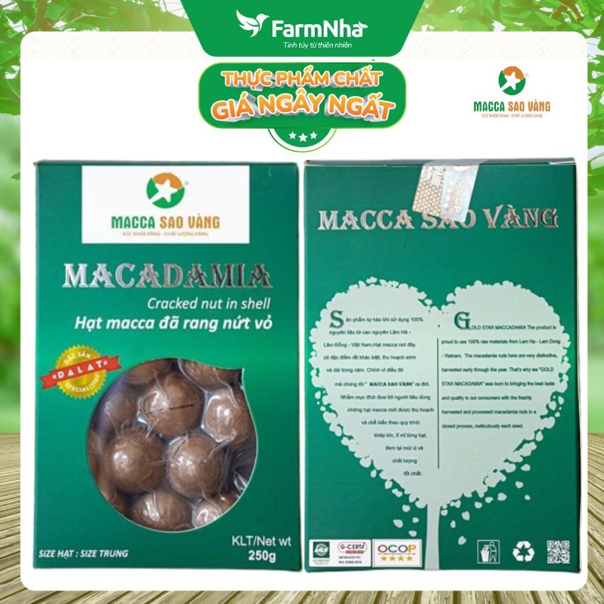 Macca Nứt Vỏ Sao Vàng hộp Xanh size trung 22-24mm 250gr – Giúp cuộc sống khỏe mạnh