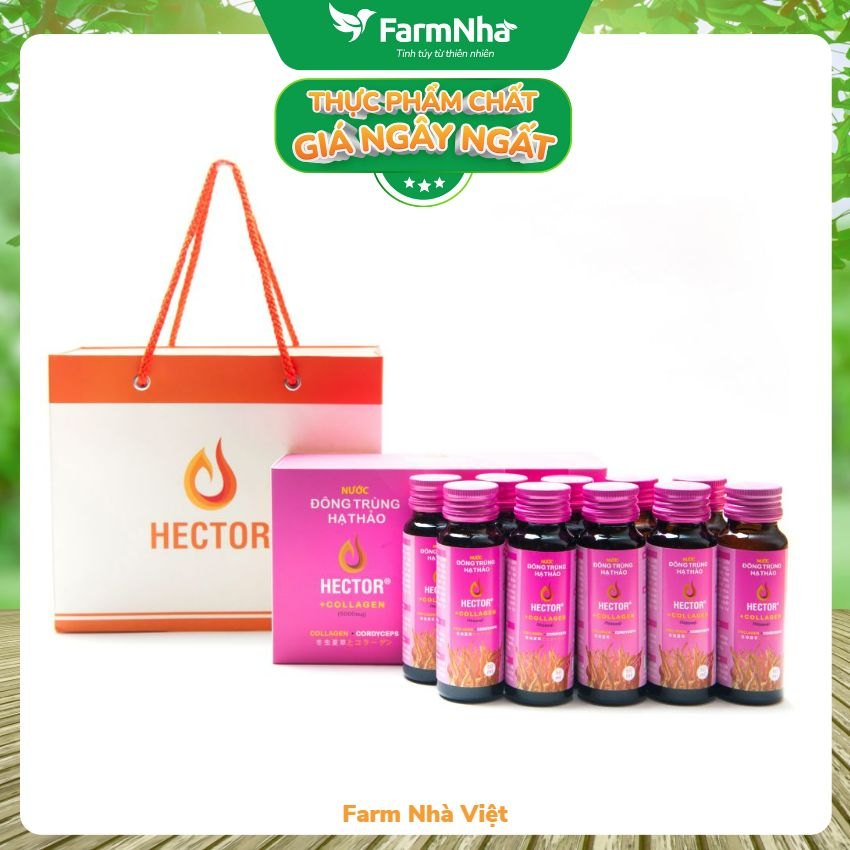 Nước Đông Trùng Hạ Thảo Hector Collagen (Hộp 10 Chai) - Hỗ trợ tăng đề kháng, giúp dưỡng ẩm, phục hồi và làm đẹp da