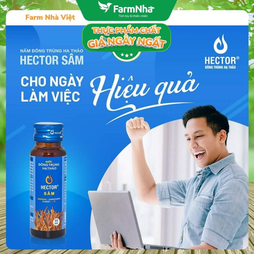 Nước Đông Trùng Hạ Thảo Hector Sâm (Hộp 10 Chai x 50ml) - Tăng cường sinh lý, Giải độc Gan, Tăng sinh lực khi làm việc cường độ cao