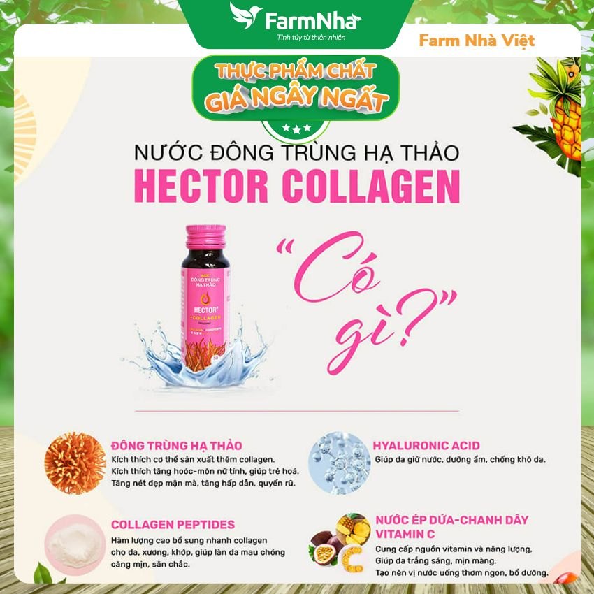 Nước Đông Trùng Hạ Thảo Hector Collagen (Hộp 10 Chai) - Hỗ trợ tăng đề kháng, giúp dưỡng ẩm, phục hồi và làm đẹp da