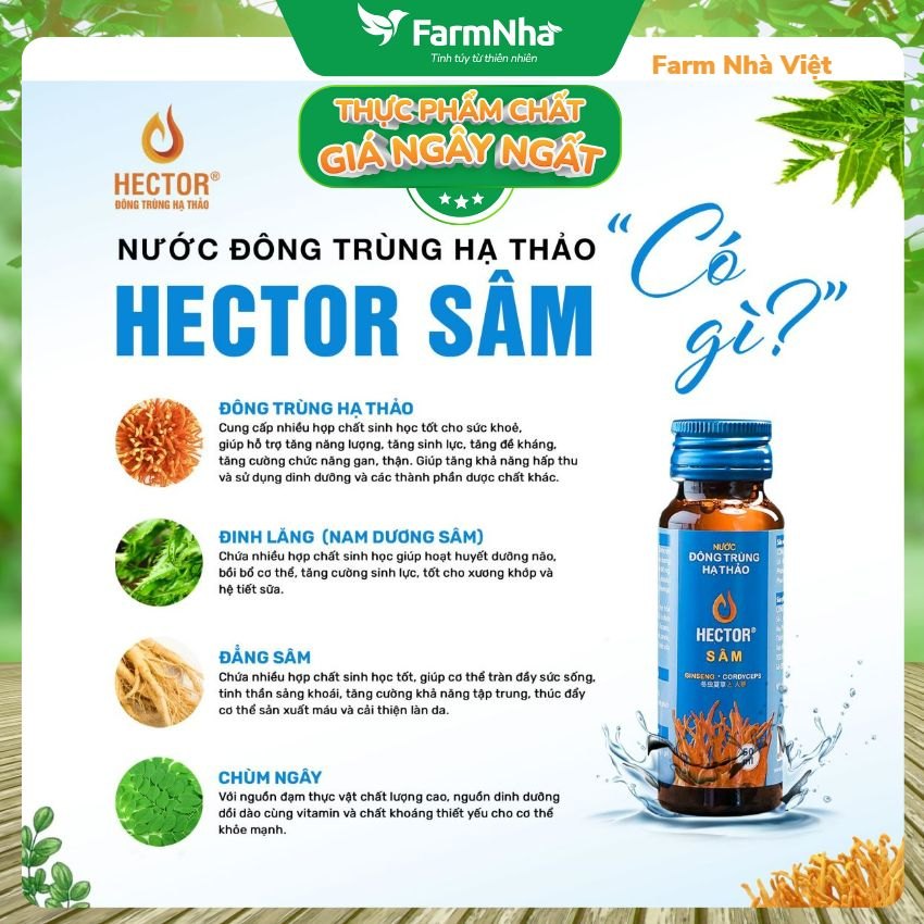 Nước Đông Trùng Hạ Thảo Hector Sâm (Hộp 10 Chai x 50ml) - Tăng cường sinh lý, Giải độc Gan, Tăng sinh lực khi làm việc cường độ cao