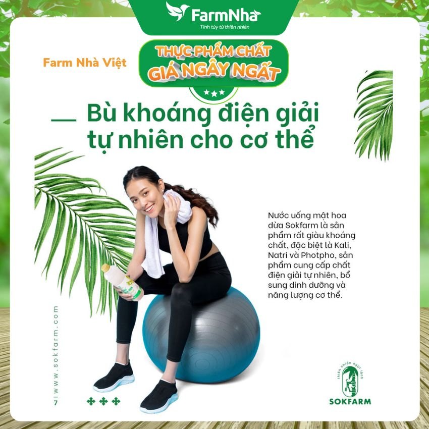 (Combo 5) Nước uống mật hoa dừa Sokfarm 1 lít - Giải khát sảng khoái, bù khoáng điện giải tự nhiên