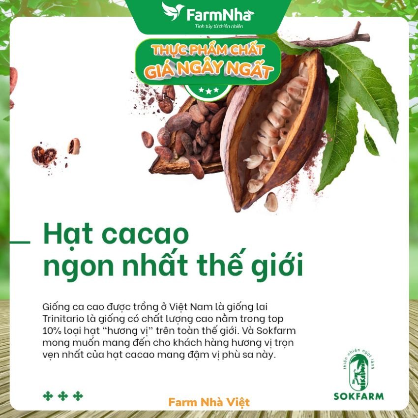 (Combo 5) Hạt cacao & Mật hoa dừa Sokfarm 75gr - Ổn Định Đường Huyết Giúp Cơ Thể Khỏe Mạnh