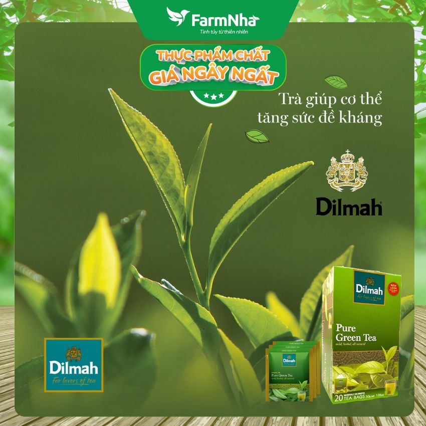 Trà Dilmah Pure Green Trà Xanh 30g 20 túix1.5g Túi Bạc Riêng Biệt - Tuyệt vời cho những ai yêu thích trà xanh