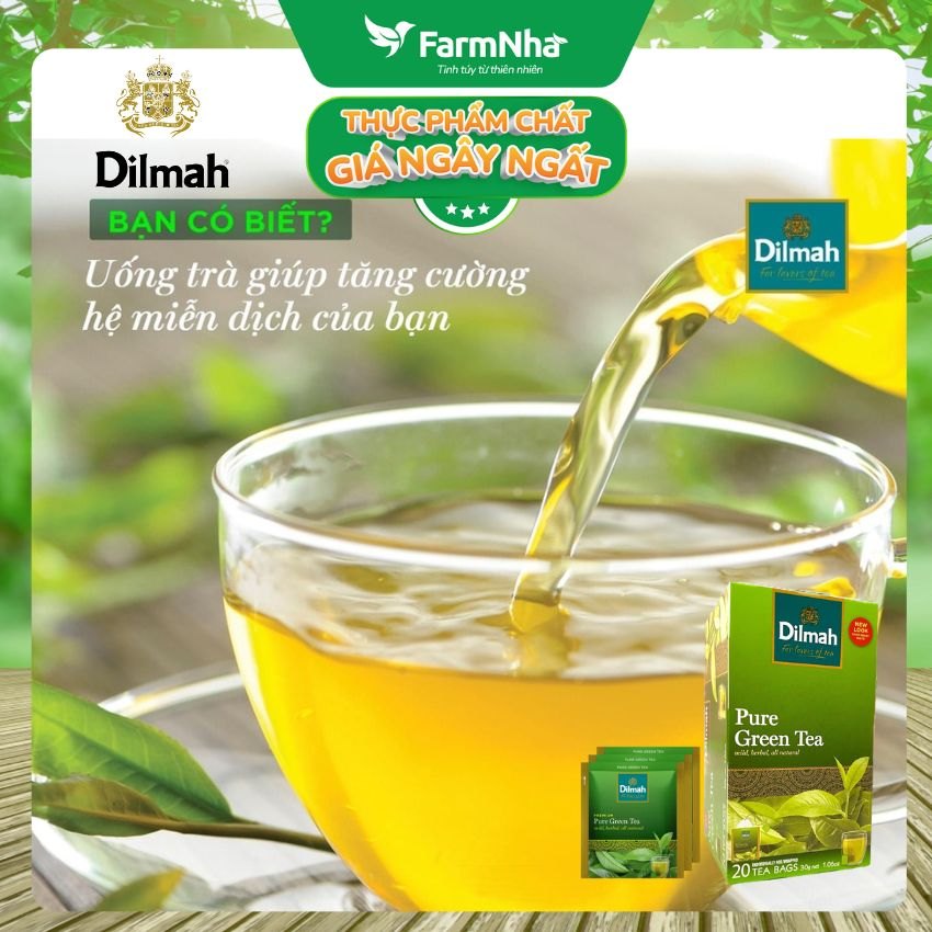 Trà Dilmah Pure Green Trà Xanh 30g 20 túix1.5g Túi Bạc Riêng Biệt - Tuyệt vời cho những ai yêu thích trà xanh