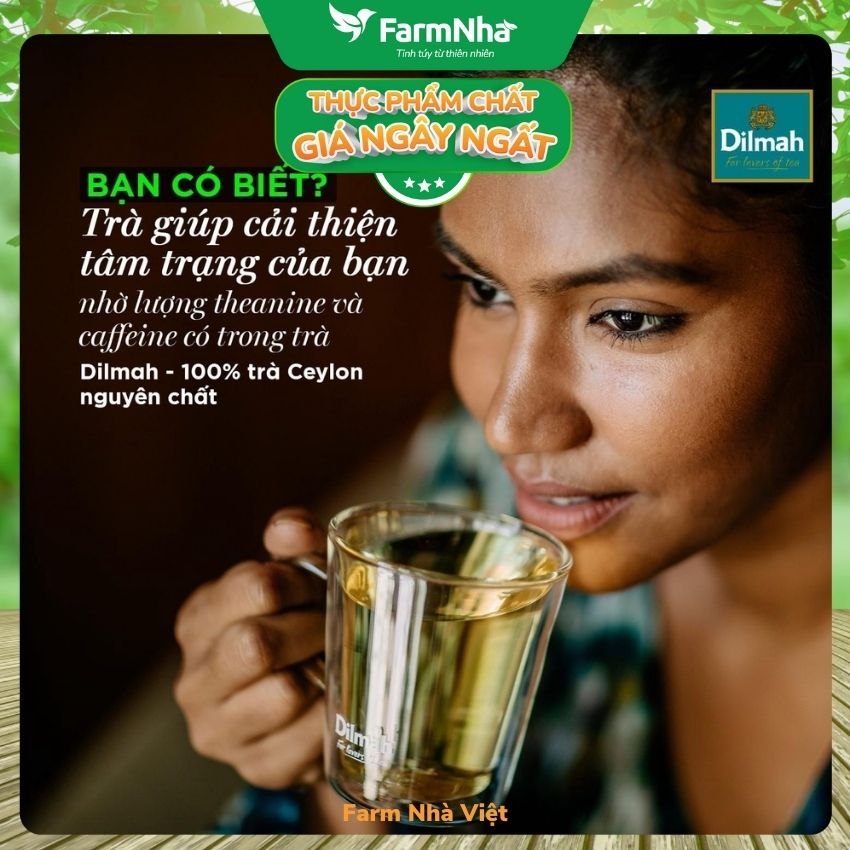 Trà đen Dilmah Premium Ceylon loại túi lọc 100 túi x 2g - Tinh hoa trà Sri Lanka