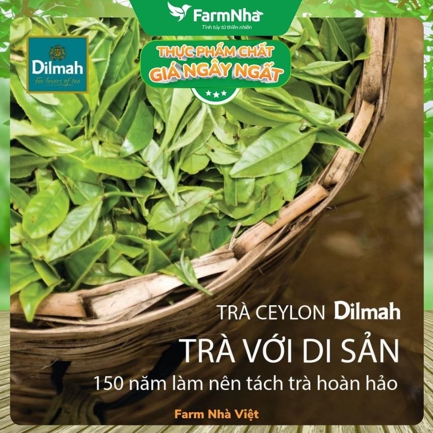 (Combo 3) Trà đen Dilmah Premium Ceylon loại túi lọc 100 túi x 2g - Tinh hoa trà Sri Lanka