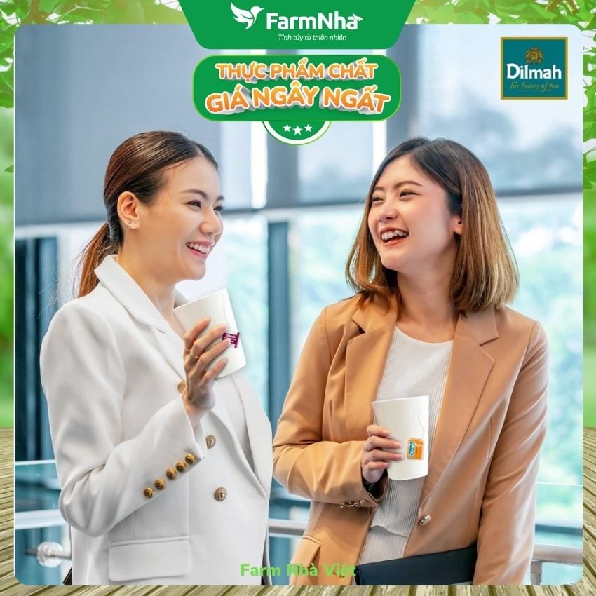 (Combo 2) Trà Dilmah hương Chanh (FOOD SERVICE) 100 túi x 2gr - Hương vị trà chanh tươi mát và nguyên chất