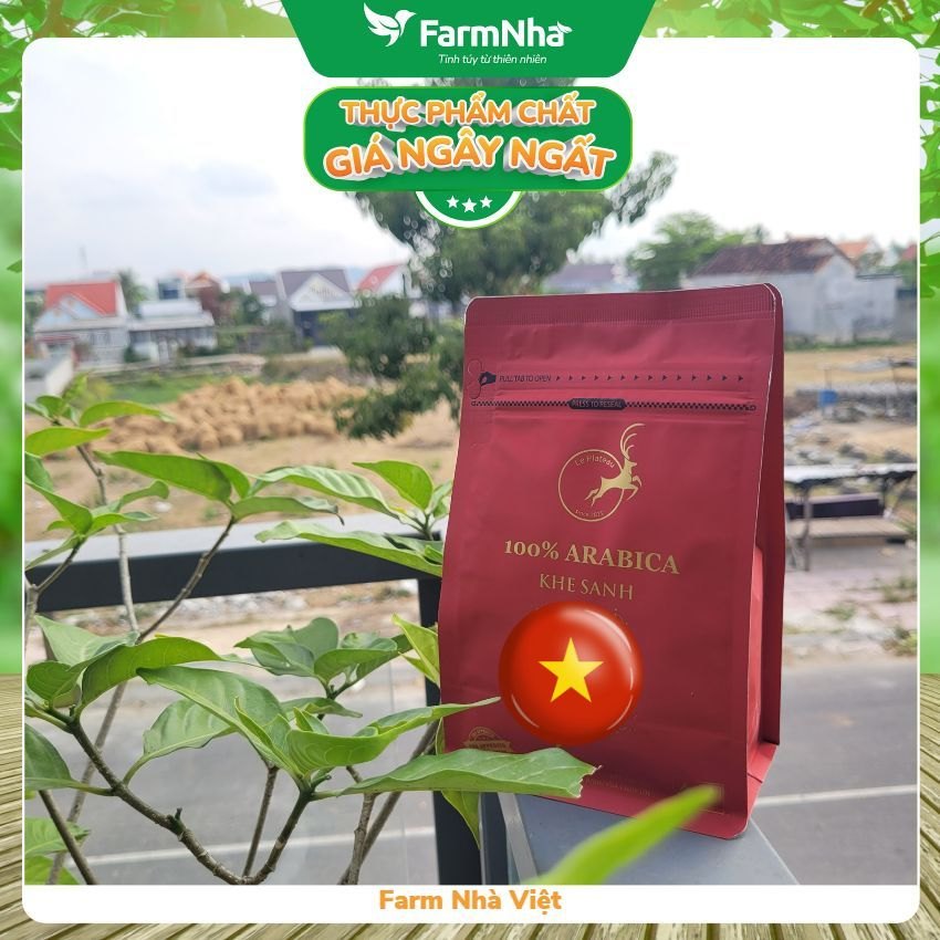 (Combo 3) Cà phê Arabica Khe Sanh Le Plateau 250gr pha Phin - Sự Lựa Chọn Thượng Hạng với Người Sành Cà Phê