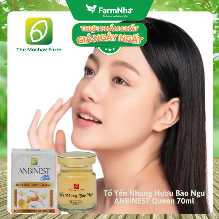 (Combo 2) Tổ Yến Nhung Hươu Bào Ngư ANBINEST Queen 70ml – Bí Quyết 