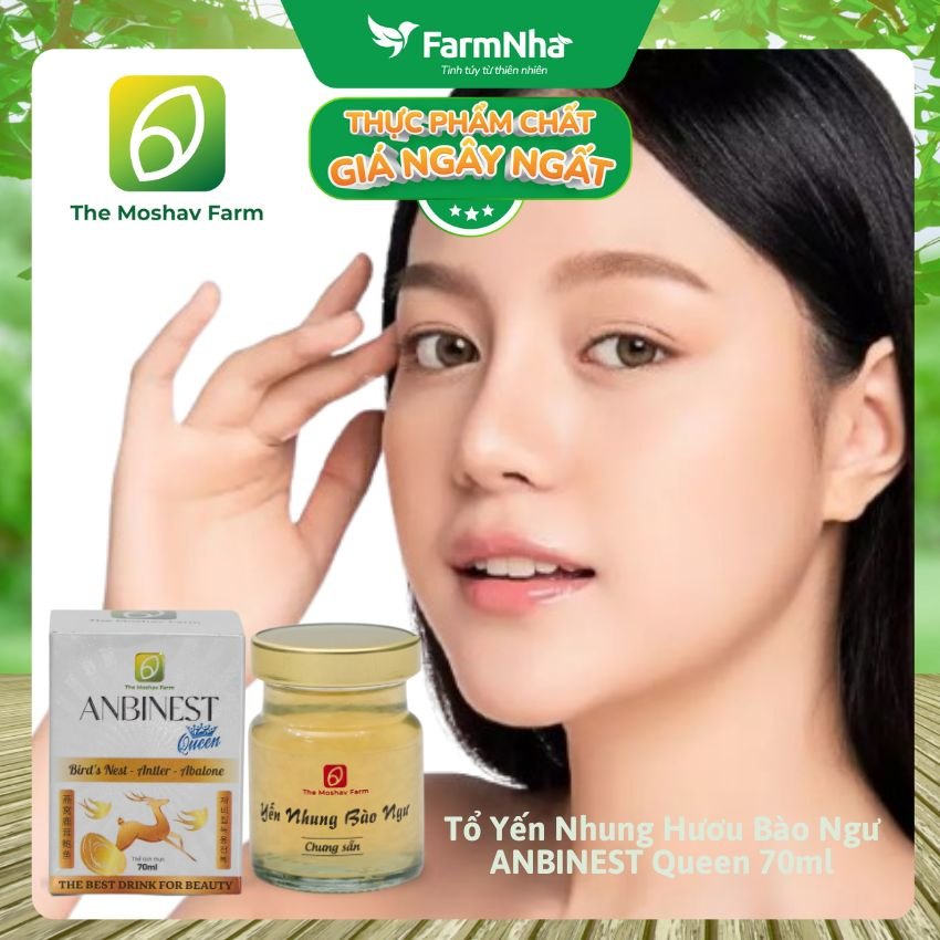 (Combo 6) Tổ Yến Nhung Hươu Bào Ngư ANBINEST Queen 70ml – Bí Quyết 