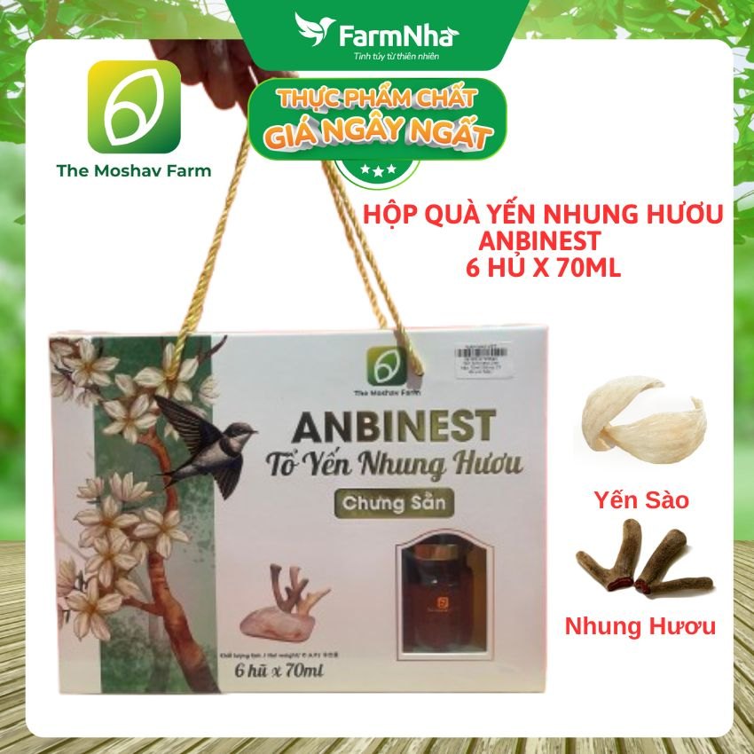 (Combo 6) Tổ Yến Nhung Hươu Bào Ngư ANBINEST Queen 70ml – Bí Quyết 