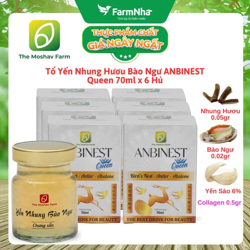 (Combo 6) Tổ Yến Nhung Hươu Bào Ngư ANBINEST Queen 70ml – Bí Quyết 