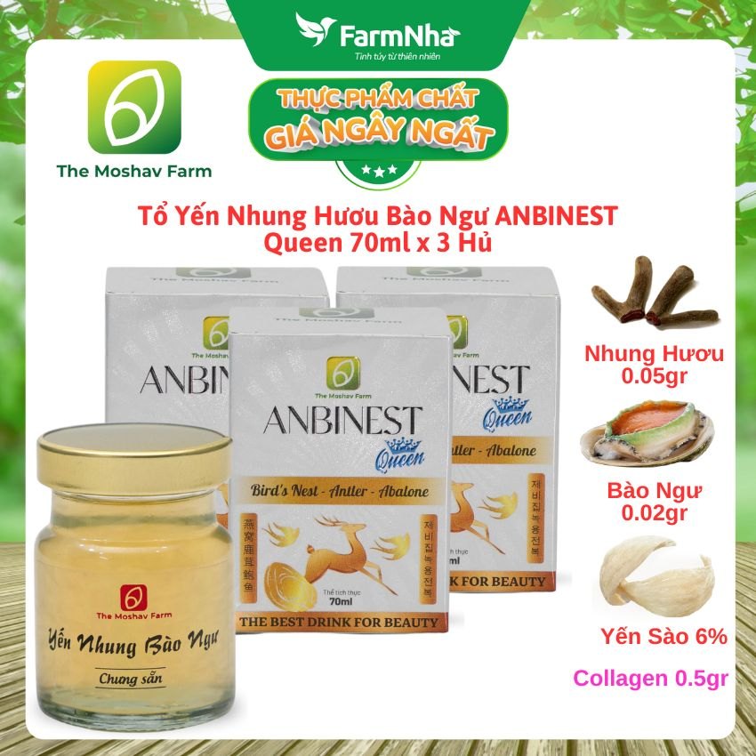 (Combo 3) Tổ Yến Nhung Hươu Bào Ngư ANBINEST Queen 70ml – Bí Quyết 